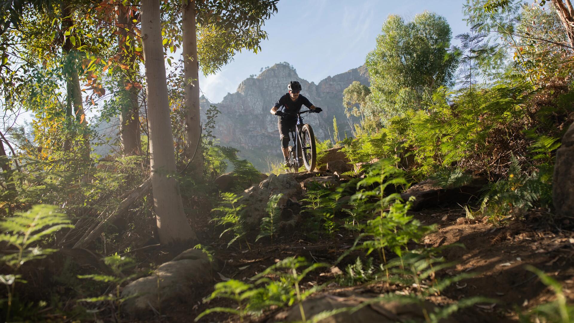STILUS E-AM 27,5+&quot; V2 MTB 