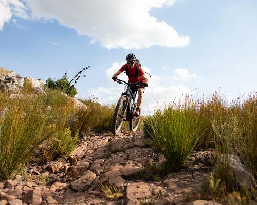 suspension pour vtt