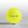 SET 12 MINGI GOLF INESIS TOUR 900 GALBEN
