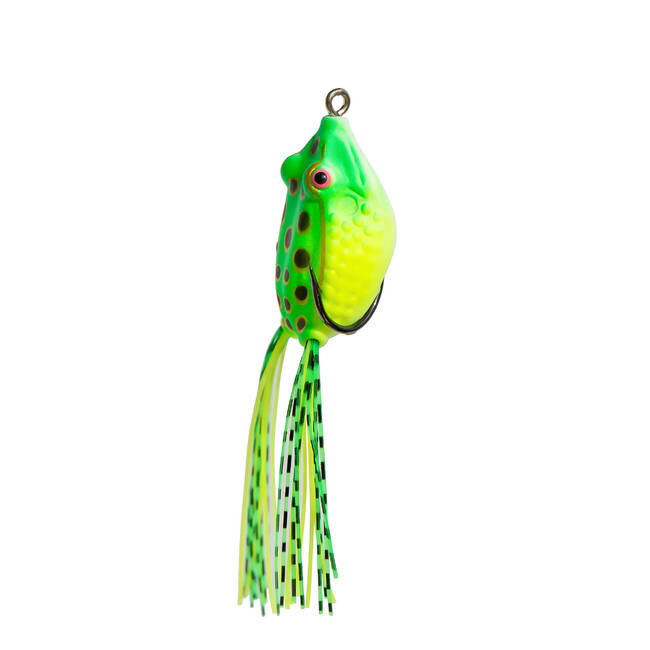 Buy Squishy Frog Online In India -  India