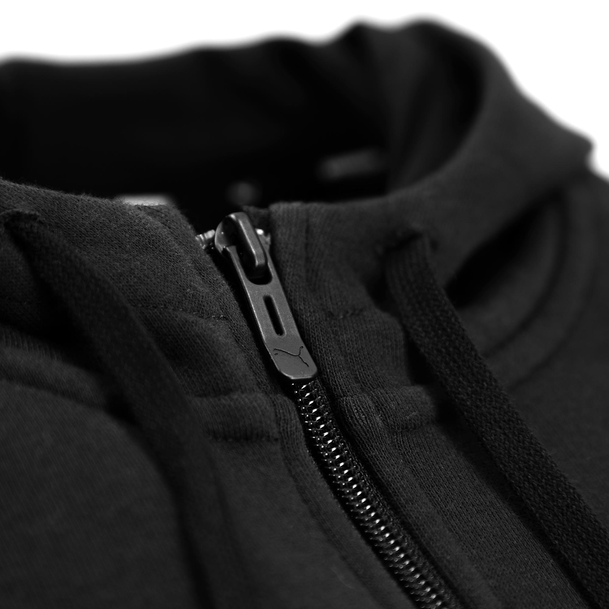 puma negro