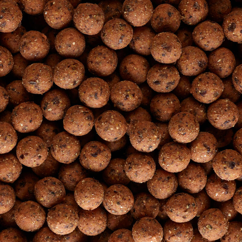 Boilies Pescuit la crap NATURALSEED 16mm 2kg Usturoi-Ficat 