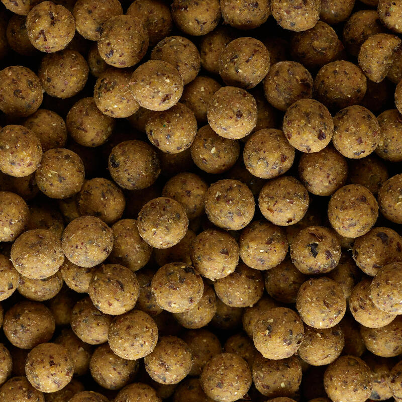 Boiles carp fishing NATURALSEED 16 mm 2 kg scopex