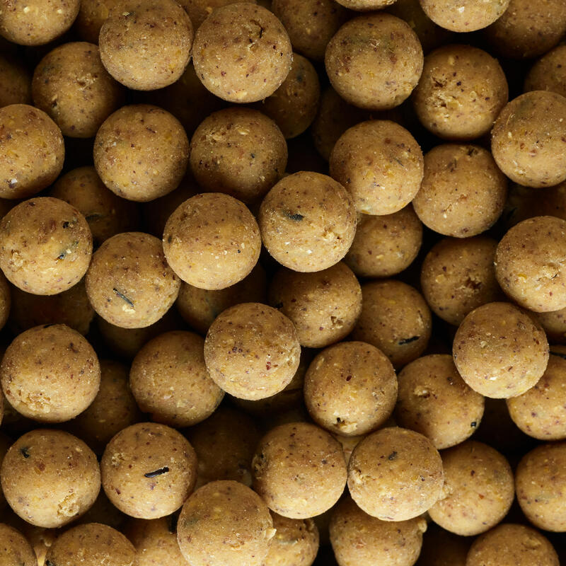 Boilies voor karpervissen XTREM 900 14 mm scopex 1 kg