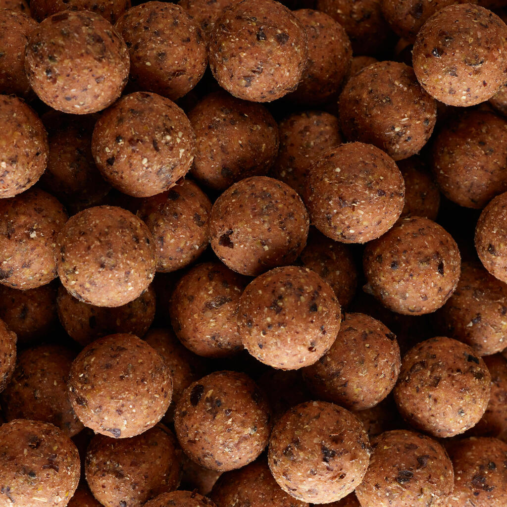 Boilies na lov kapra NaturalSeed 24 mm 2 kg Cesnak/Pečeň