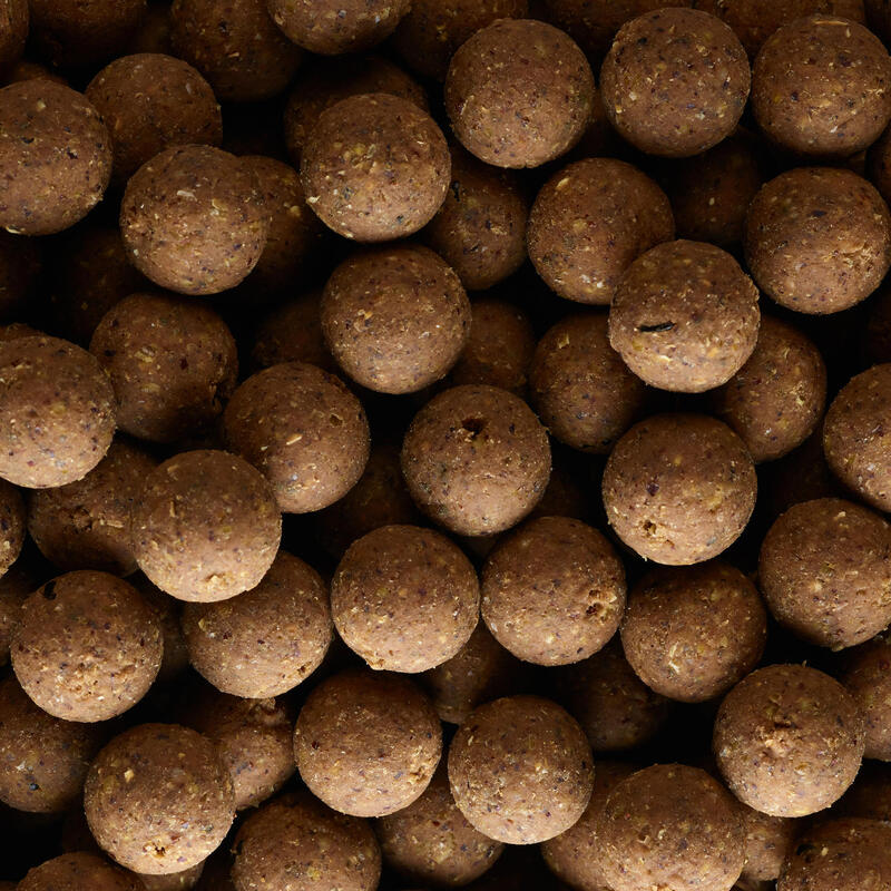 Boilies voor karper XTREM 900 14 mm 1 kg knoflook/lever