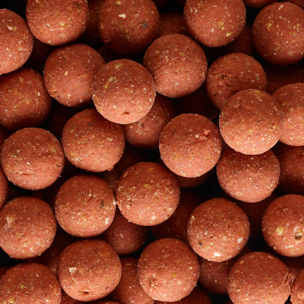 Carp Fishing Boilies 900 20 mm 1 kg - Crustaceans-Black pepper