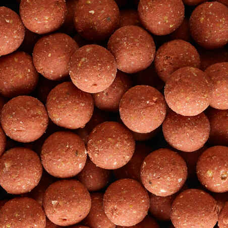 Carp fishing boilies XTREM 900 20mm 1kg Strawberry