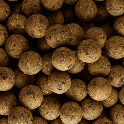 Bouillettes pêche de la carpe NATURALSEED 24mm 2kg Fraise CAPERLAN