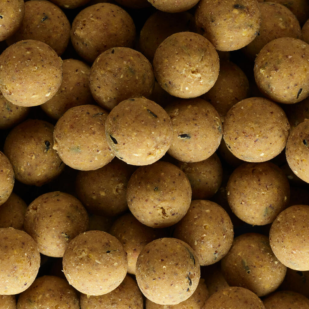 Carp Fishing Boilies NATURALSEED 900 20 mm 1 kg - Crustaceans-Black pepper