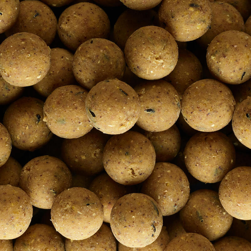 Boilies na kaprařinu Xtrem 900 20 mm 1 kg Scopex