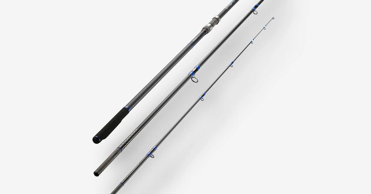 CANNE-SYMBIOS-900-450-HYBRID. 