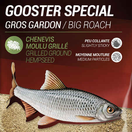 Gooster Special Big Roach Bait 1kg