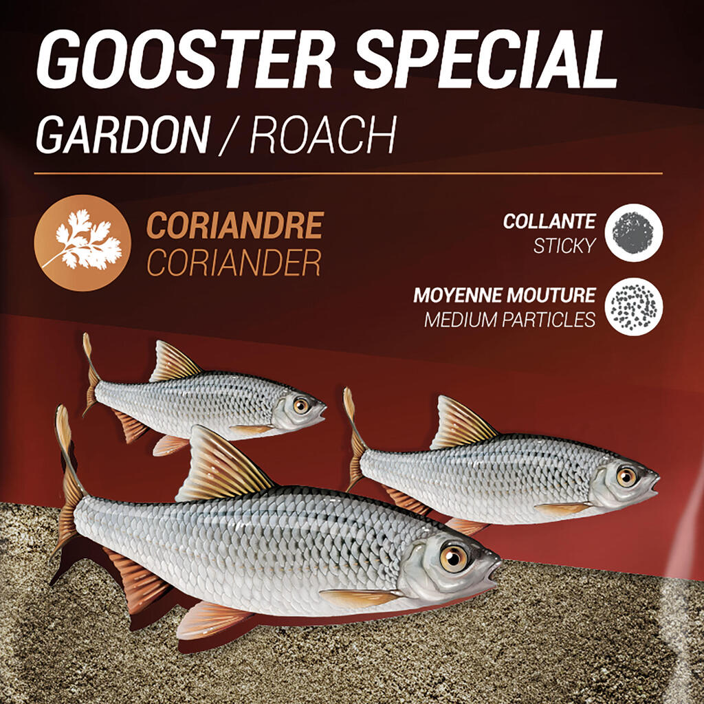 Grundfutter Gooster Spezial Plötze 1 kg 