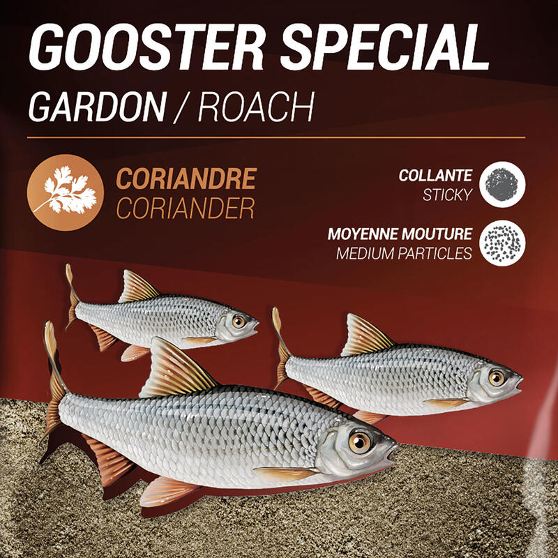 Grundfutter Gooster Spezial Plötze 1 kg 