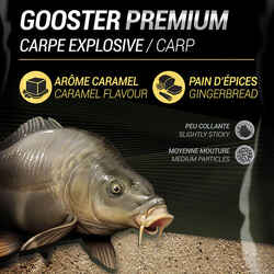 GOOSTER PREMIUM BAIT EXPLOSIVE CARP 1kg