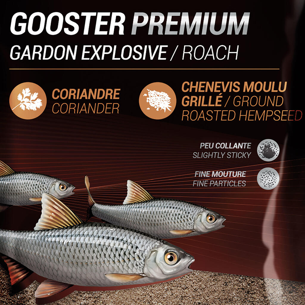 Grundfutter Gooster Premium Rotauge Teich 1 kg