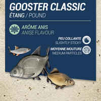 GOOSTER CLASSIC BAIT FOR ALL FISH ANISE 4,75kg