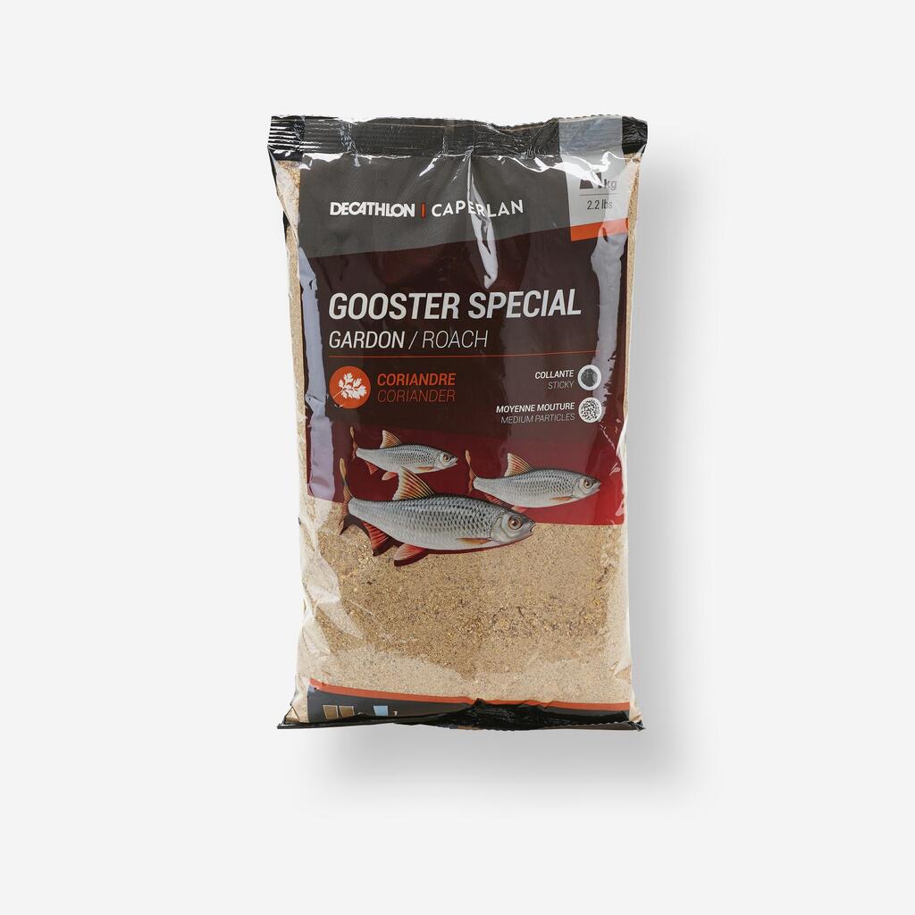 Grundfutter Gooster Spezial Plötze 1 kg 