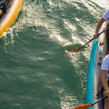surf en kayak