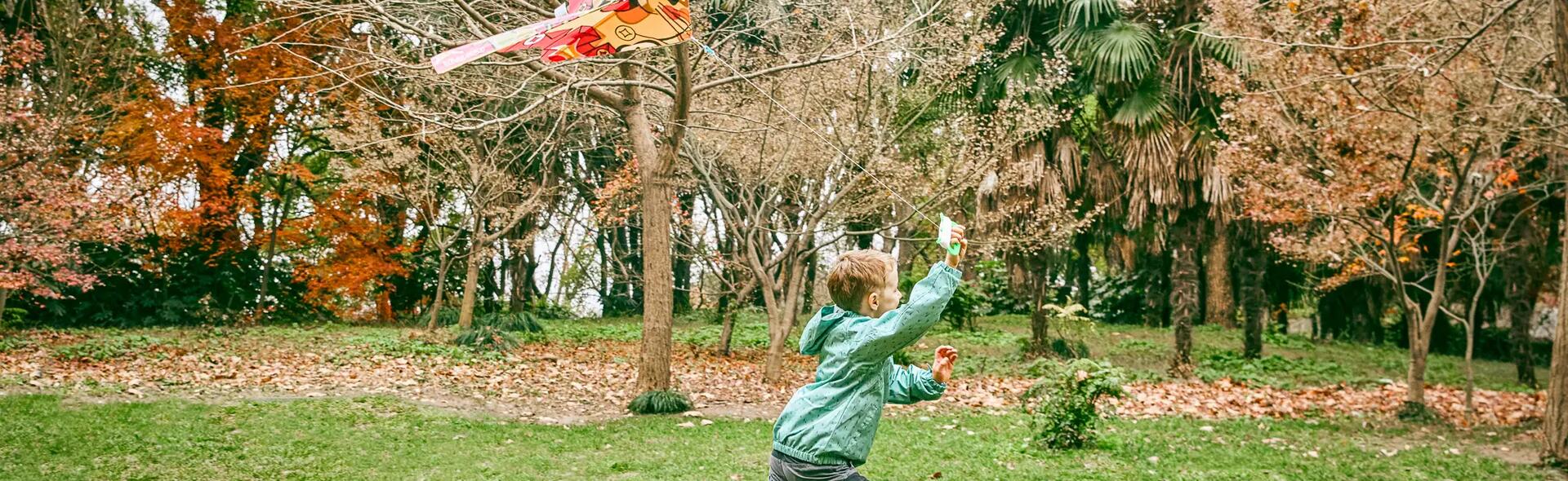 Everything about kite flying