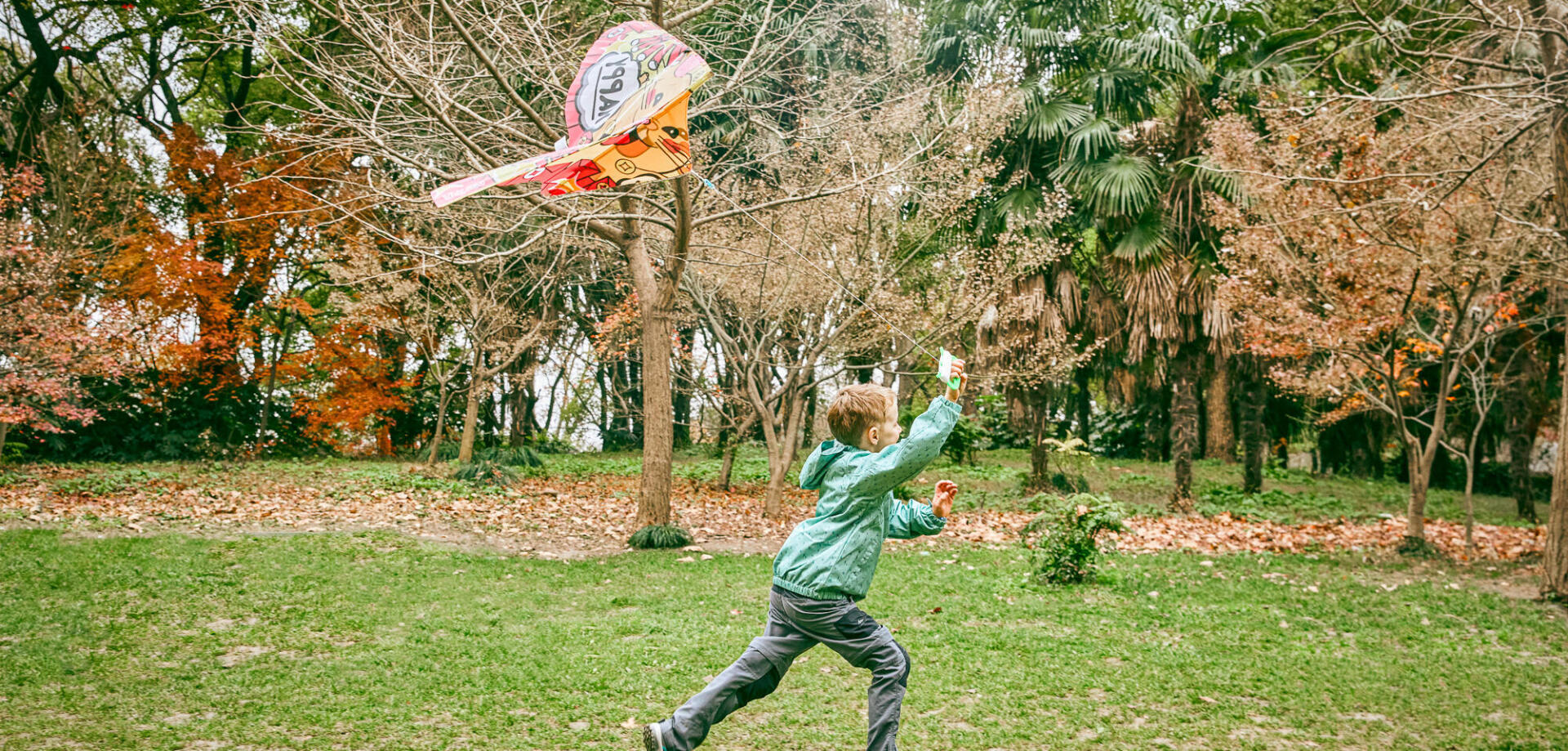 Choisir un cerf volant pour enfant