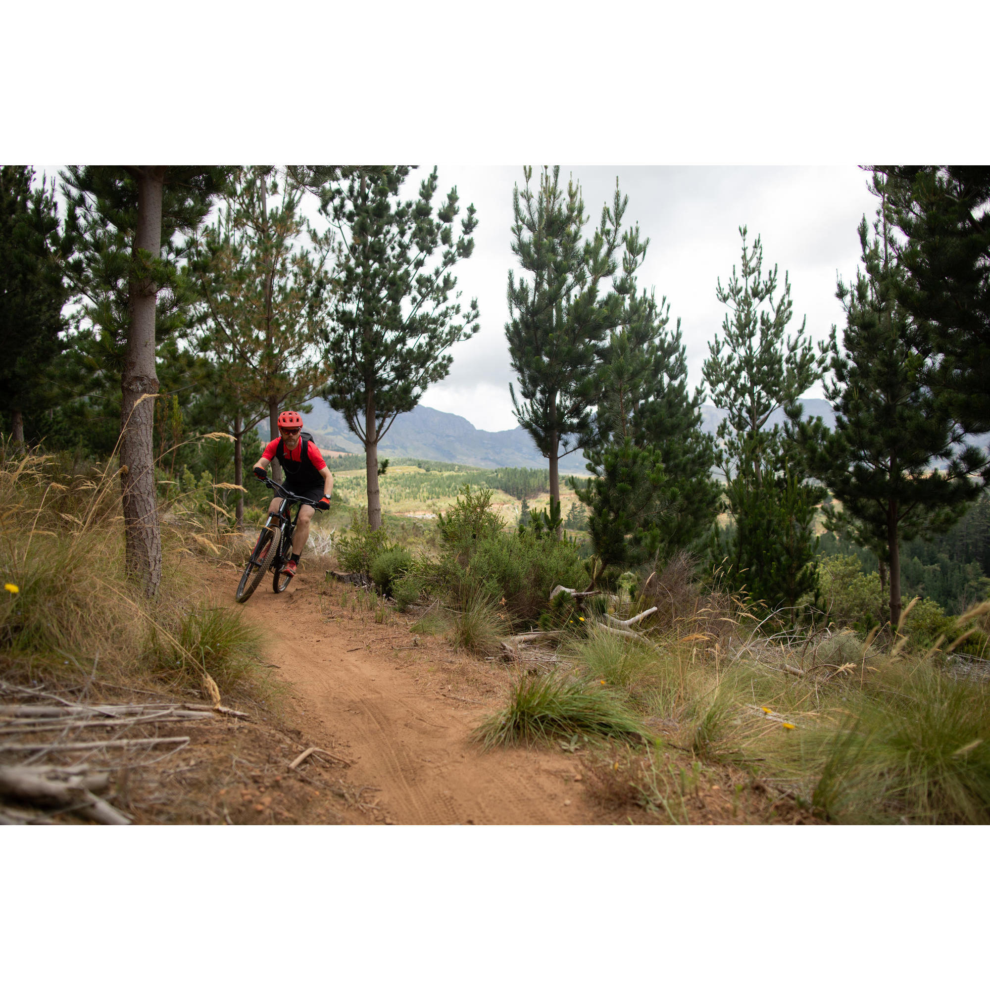 rockrider 540 full suspension