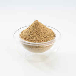 Gooster Special All Fish Feeder Bait 4.75 kg