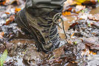 Waterproof Boots - Brown