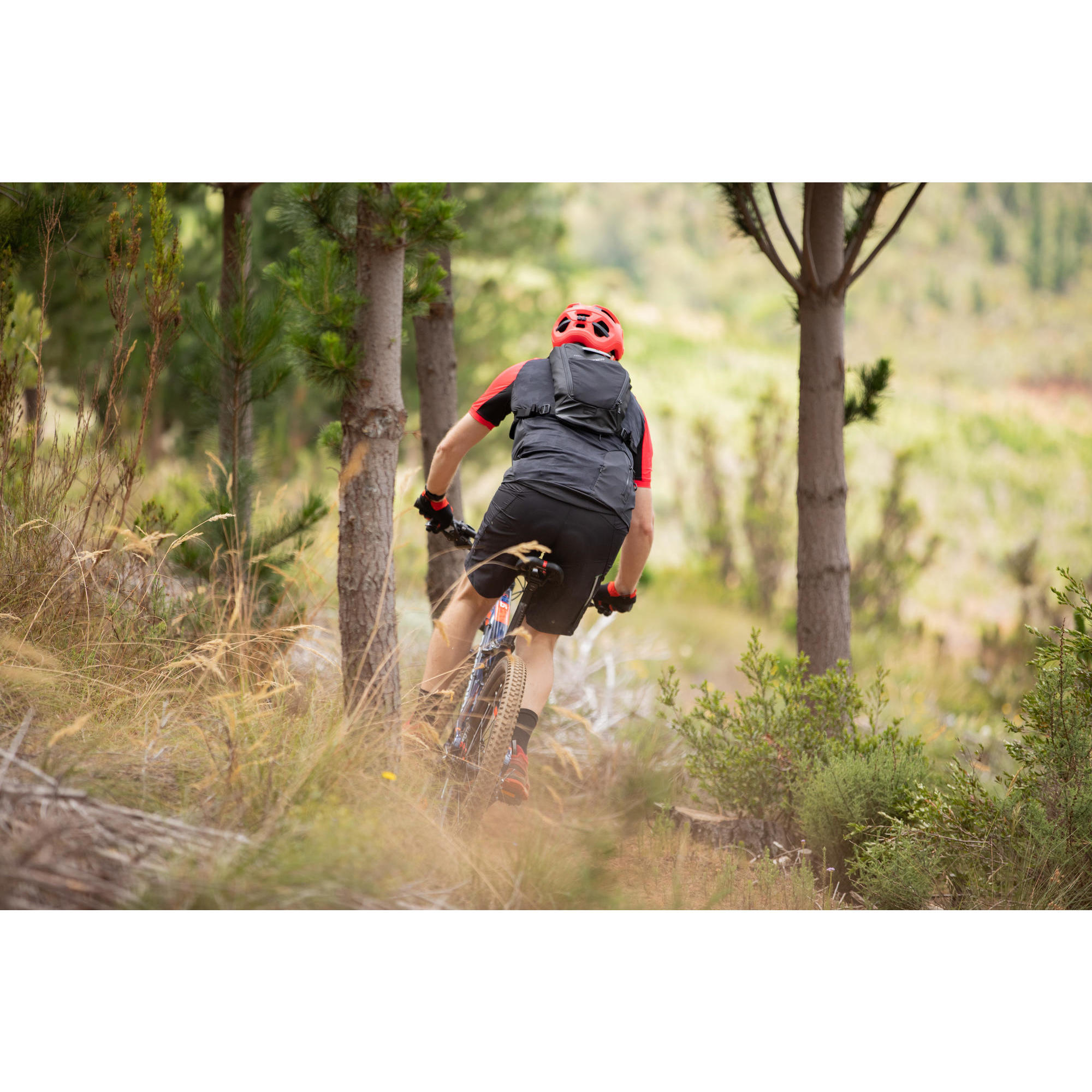 best recumbent road bike 2018