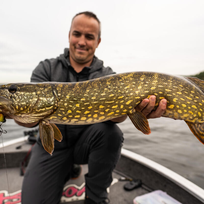 LURES: Winter techniques