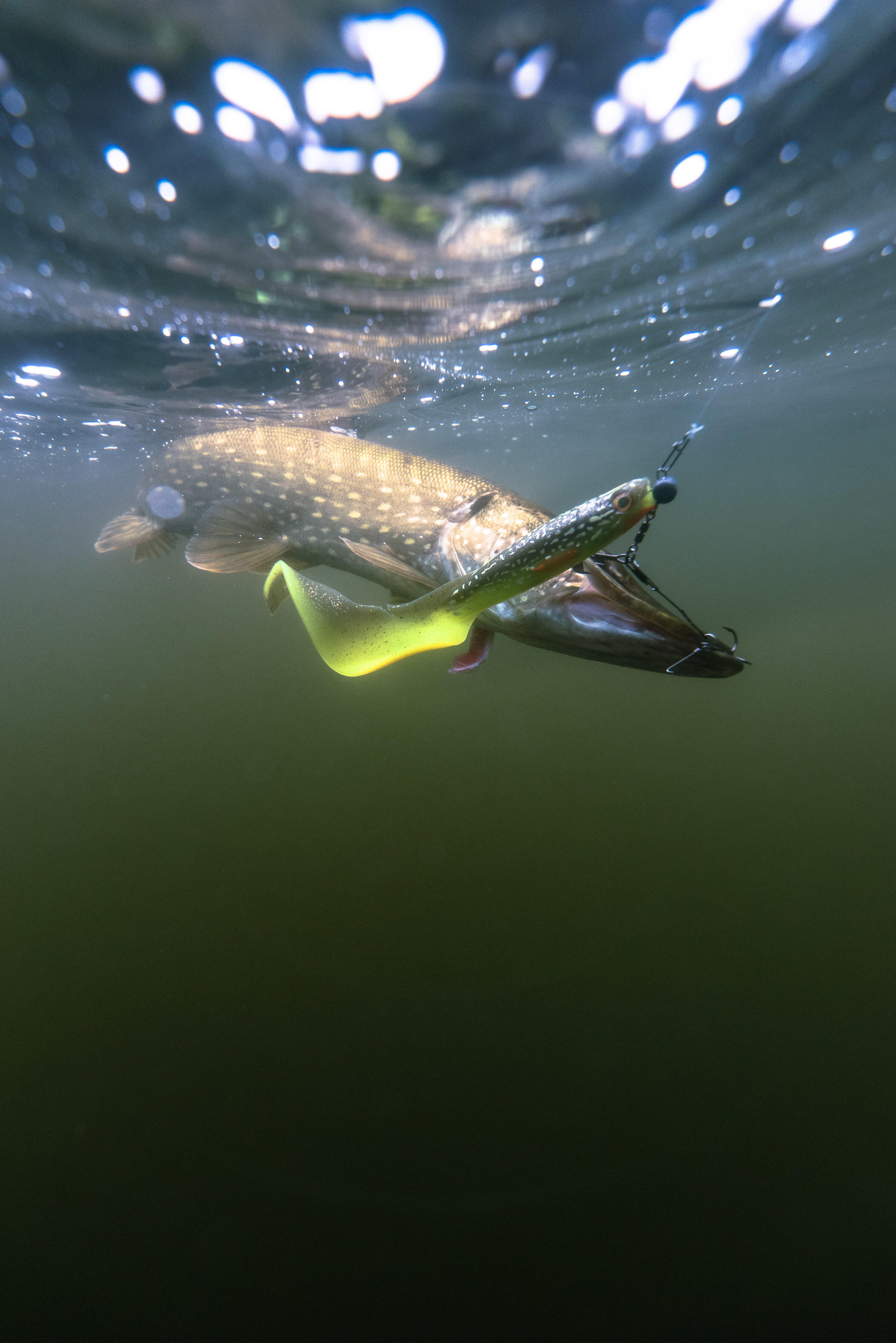 AMOSTRA FLEXÍVEL LÚCIO PESCA DE PREDADORES ROGENGRUB 180 AZUL/ FIREPIKE (CONJ) 3/3