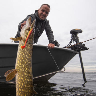 pêche de gros brochets et autres carnassiers en automne