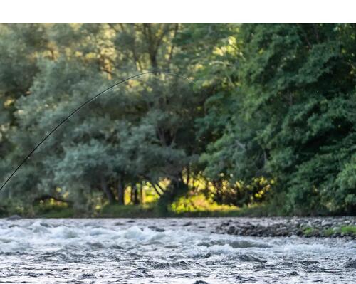 comprendre-la-riviere-truite