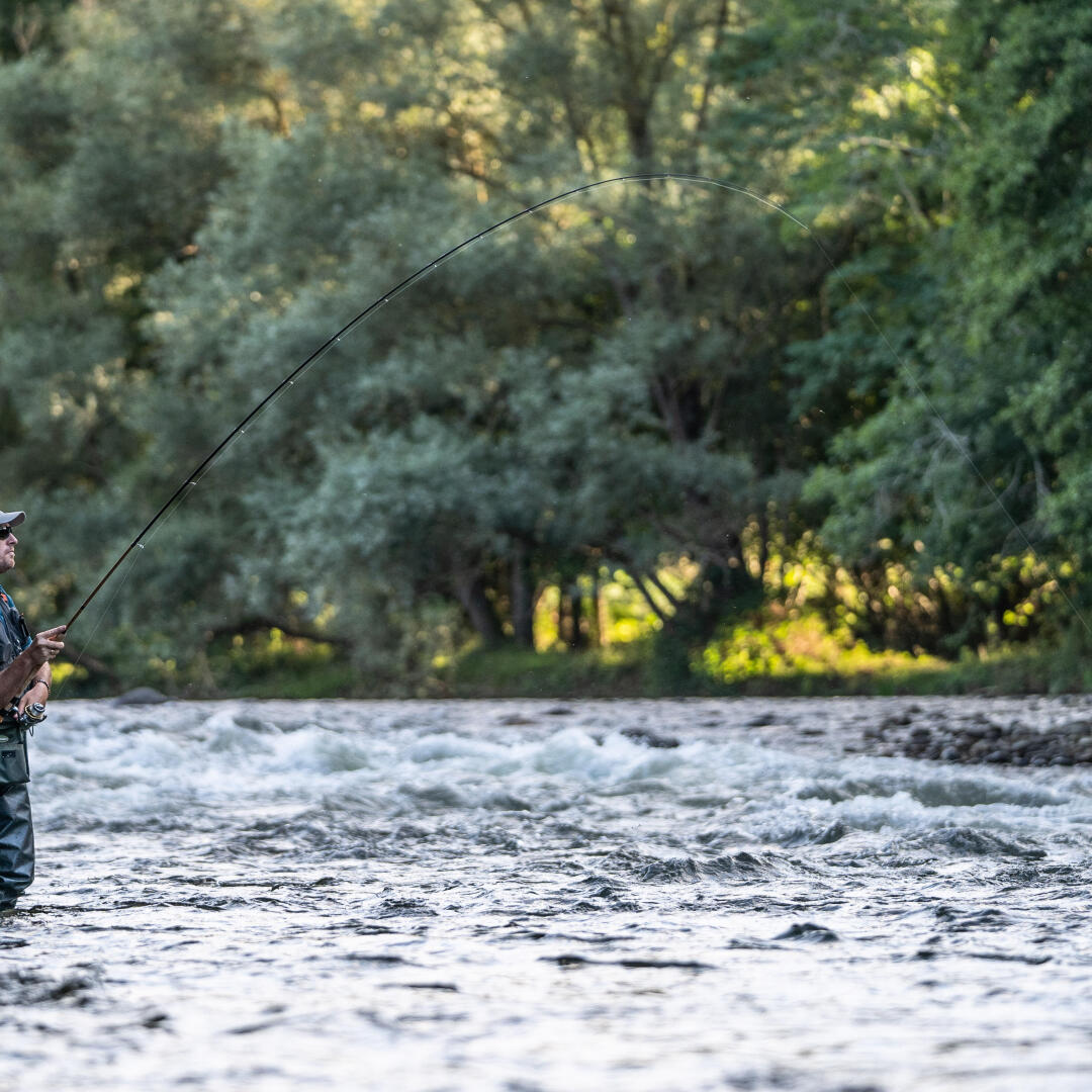 Comprendre Et Lire La Riviere Pour Trouver Les Truites