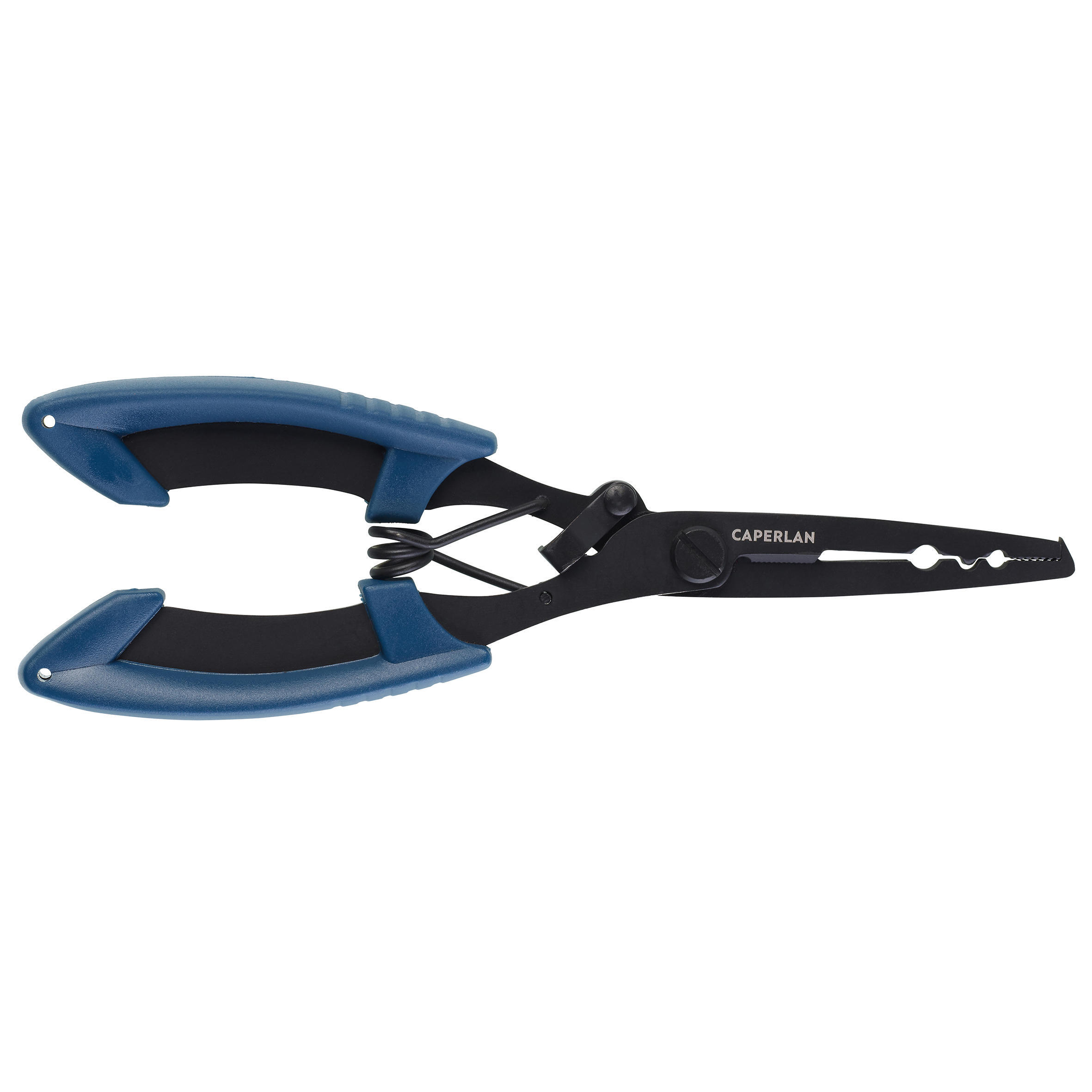Vistang zeevissen multitool SW PR TE 2/3