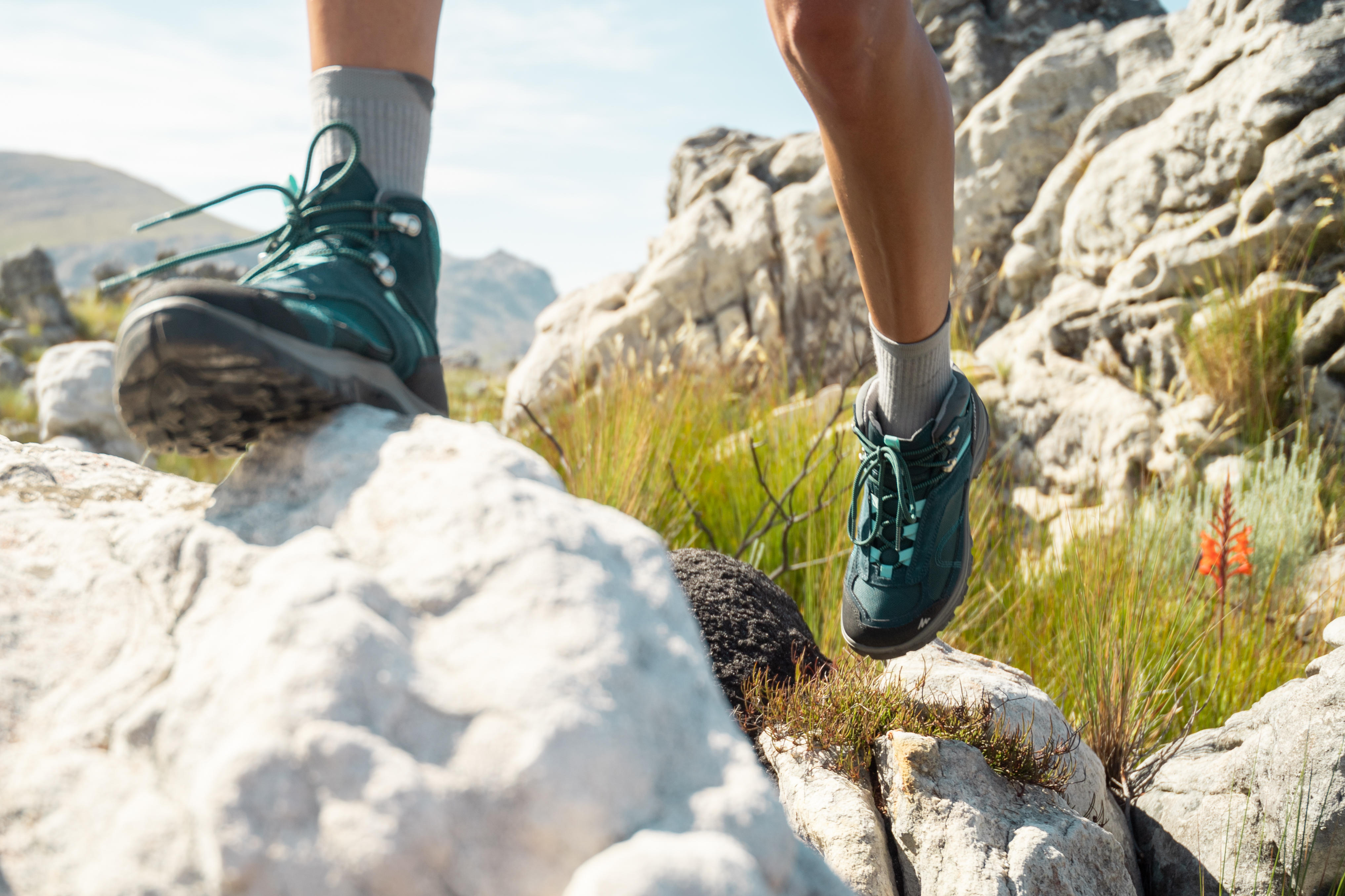 Chaussures de randonnée imperméables femme – MH 100 turquoise - QUECHUA