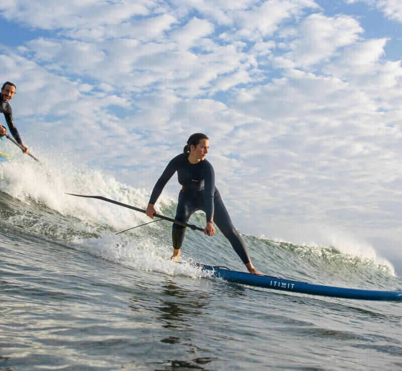 stand-up paddle surf