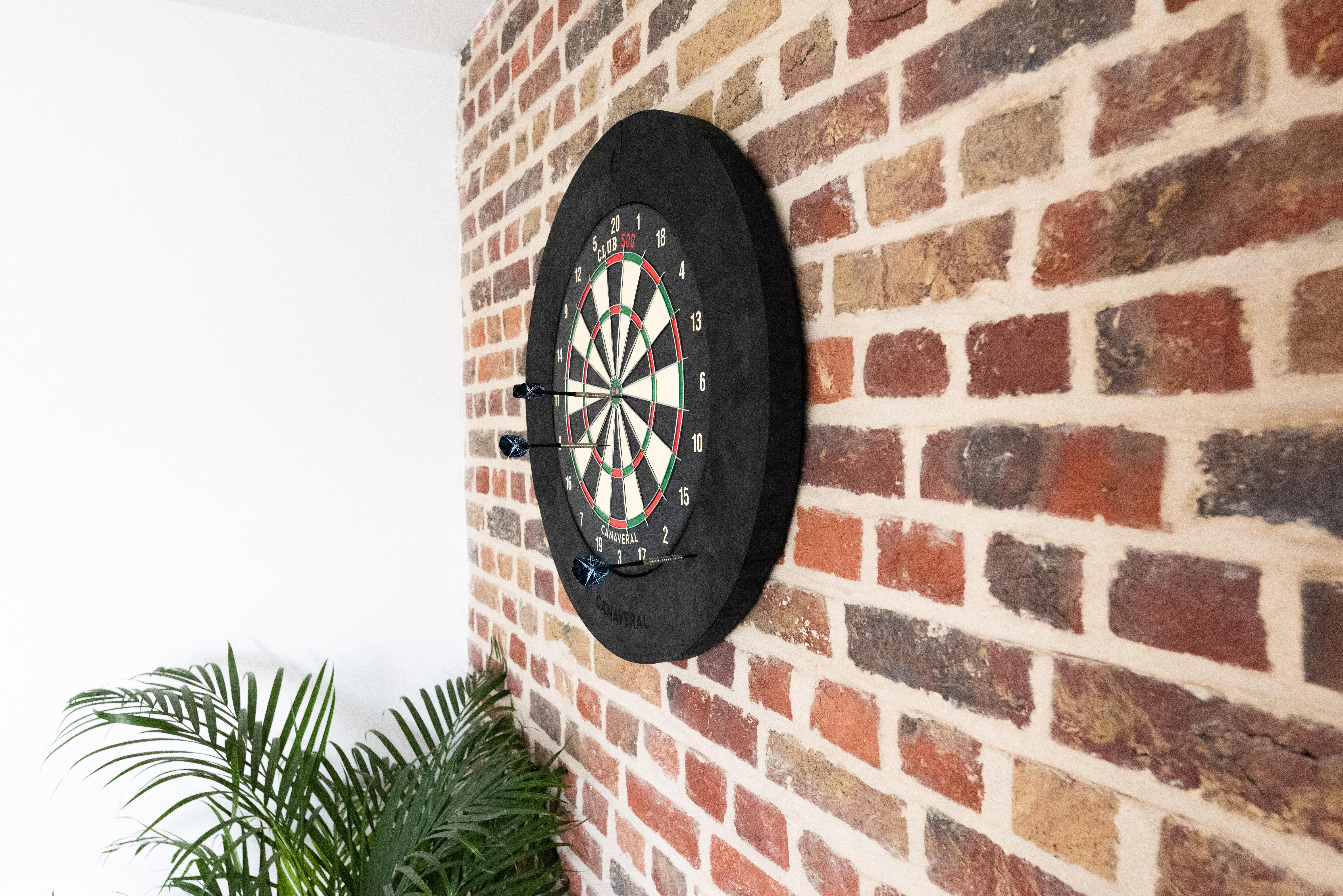 Steel Tip Dartboard - Club 500 - CANAVERAL