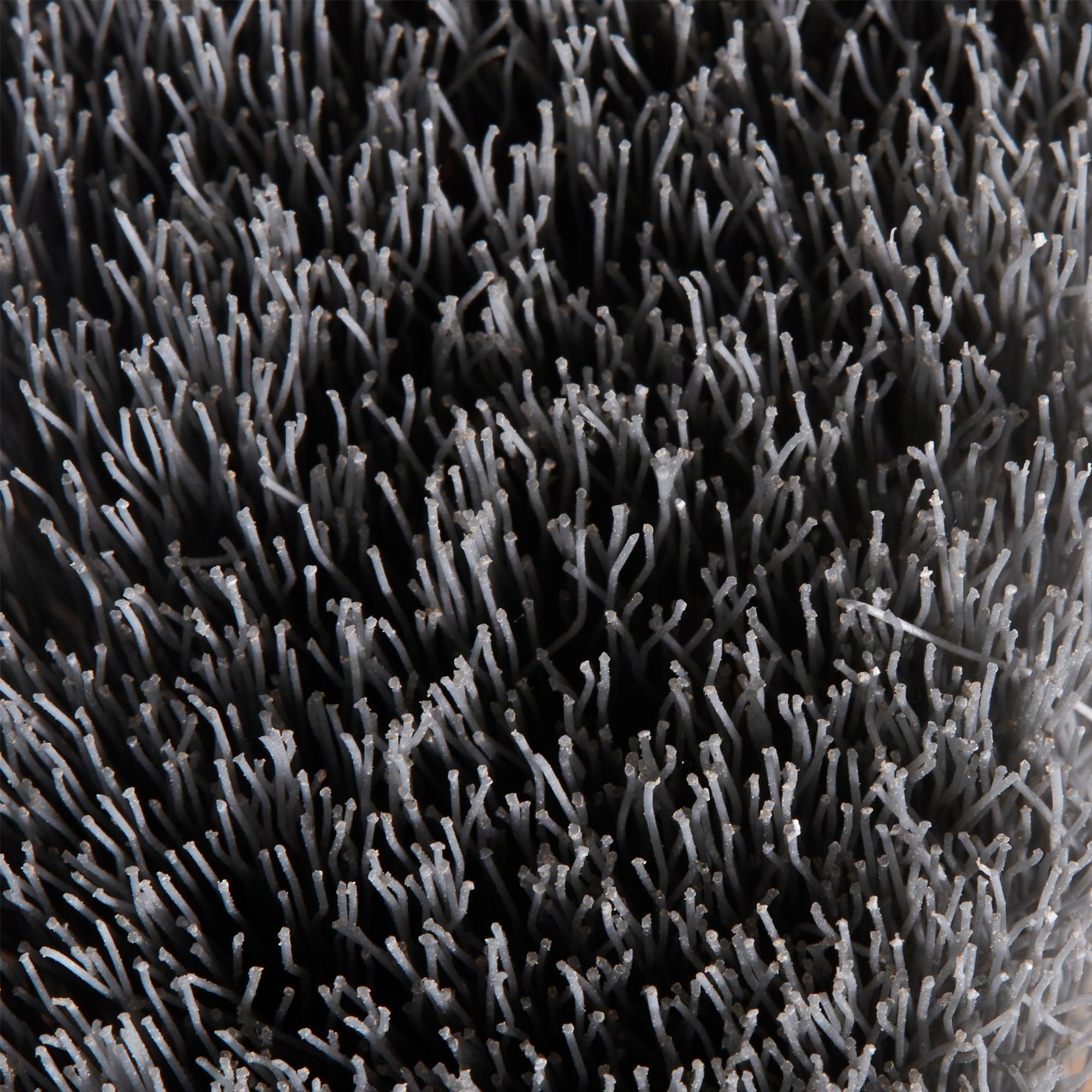 Brosse chaussure decathlon Clearance