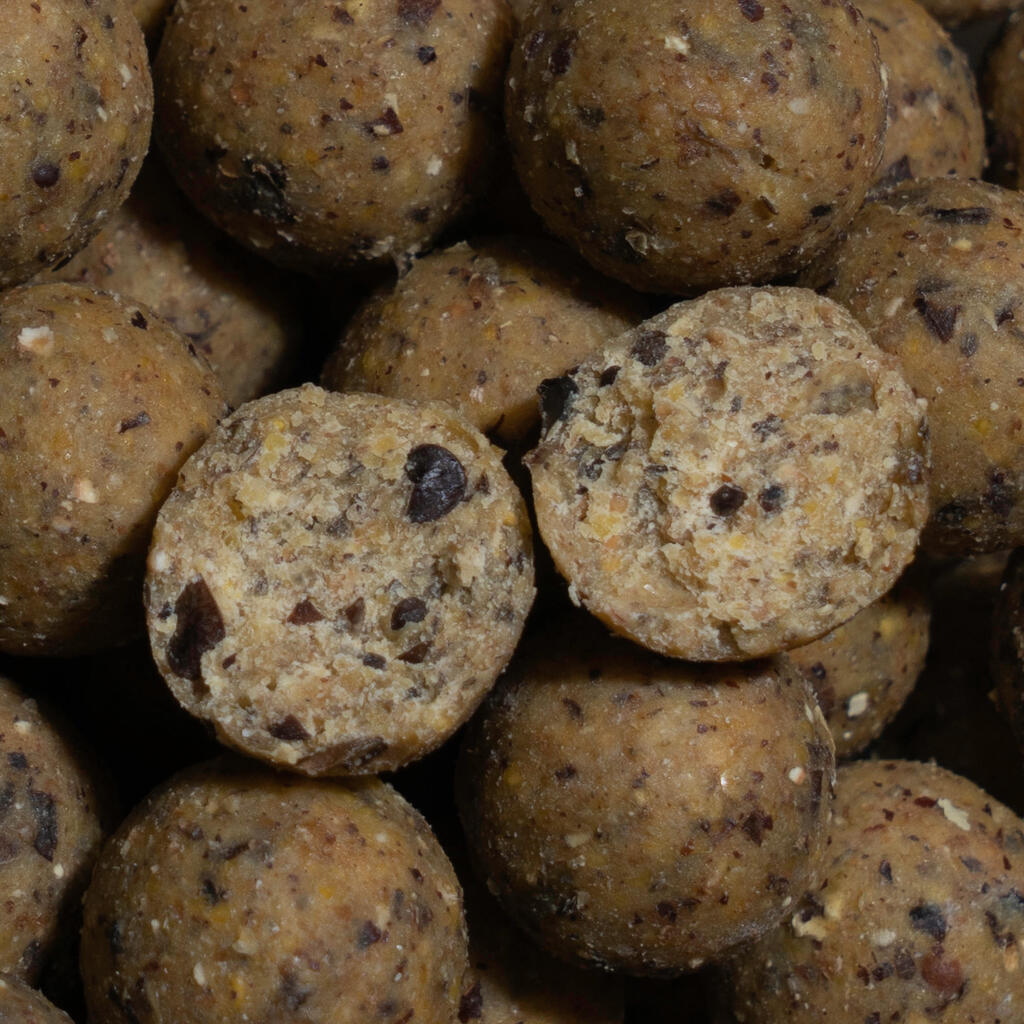 פיתיונות בטבלית NATURALSEED לדיג קרפיונים, 20 מ