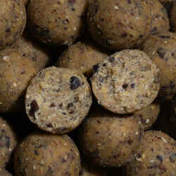 NATURALSEED20mm2kg Scopex carp fishing boilies