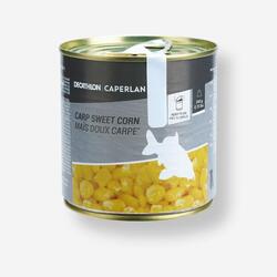 Maïs doux saveur VRAC ACHETER 10 kg Amorce Deal Carp Coarse Match Pêche