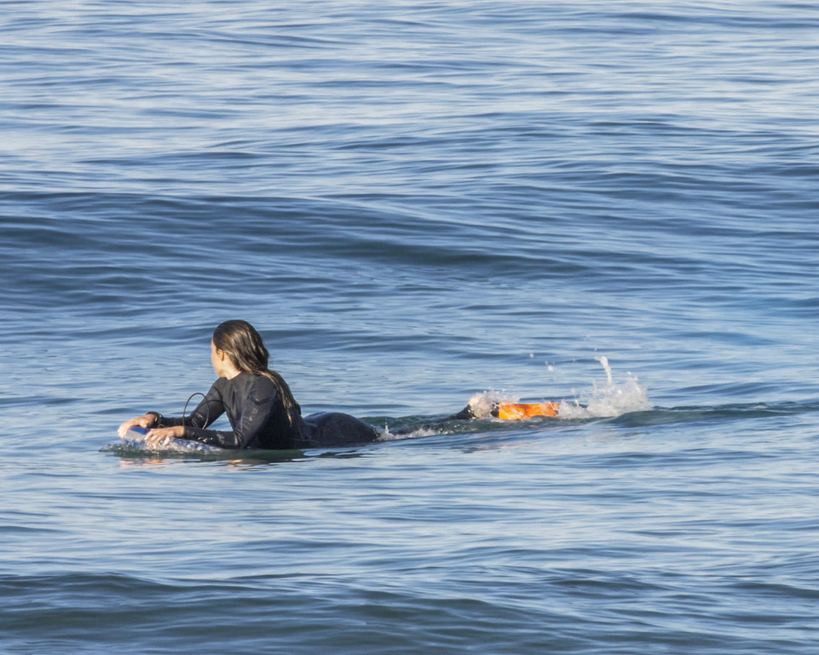 

Bodyboard 100 Fins - Orange -  By RADBUG | Decathlon