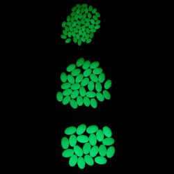 Fishing Surfcasting Hard Bead Set 100 - Phosphorescent