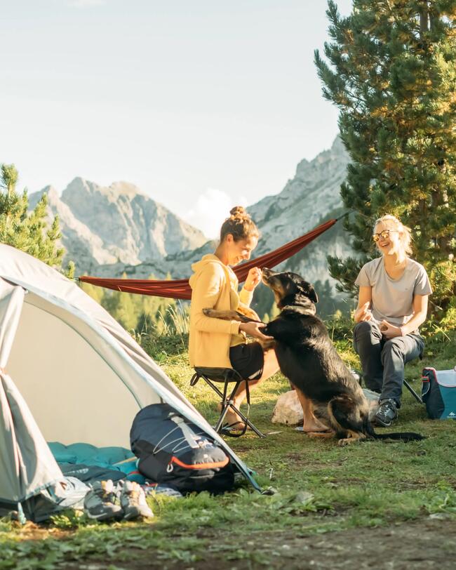 2 Man Tent - MH100