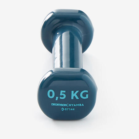 Plave bučice za fitnes (2 komada po 0,5 kg)