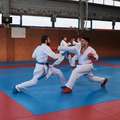 Karate Karaté - MITENES DE KARATÉ AZUL OUTSHOCK - Karaté