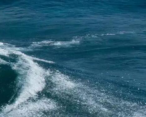 Tudo sobre o surf