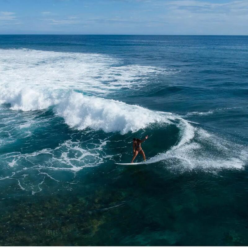 Tudo sobre o surf